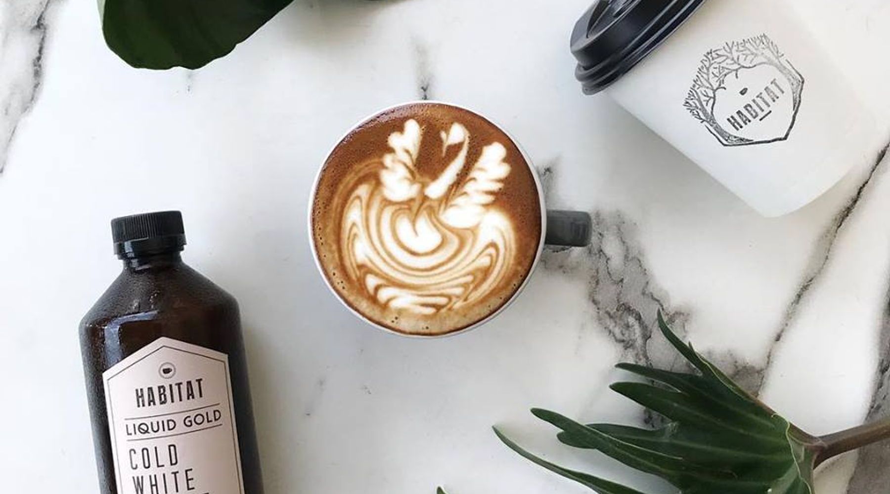 14 Cafes in Singapore to visit for The Best Coffee Blends